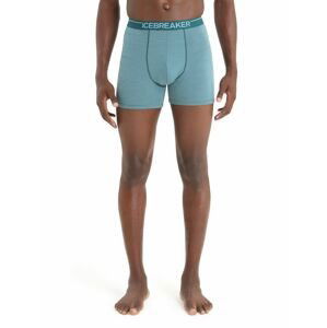 ICEBREAKER Mens Anatomica Boxers, Green Glory/Astral Blue velikost: S