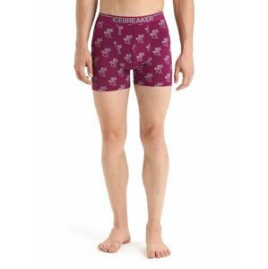 ICEBREAKER Mens Anatomica Boxers, Go Berry/Aop velikost: L