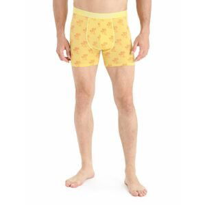 ICEBREAKER Mens Anatomica Boxers, Summer/Aop velikost: L