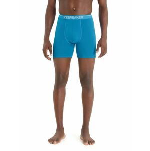 ICEBREAKER Mens Anatomica Long Boxers, Geo Blue velikost: L