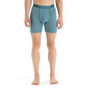 ICEBREAKER Mens Anatomica Long Boxers, Green Glory/Astral Blue velikost: M