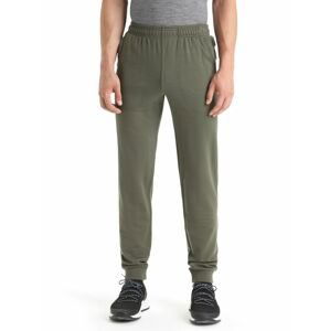 ICEBREAKER Mens Shifter Pants, Loden velikost: S