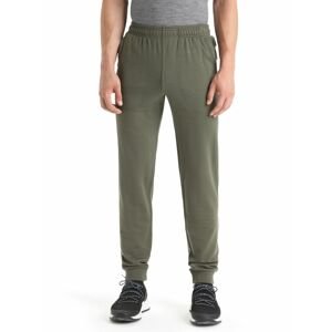 ICEBREAKER Mens Shifter Pants, Loden velikost: XL