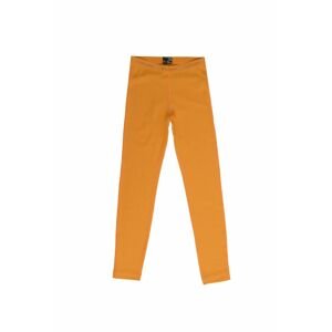 Dětské merino spodky ICEBREAKER Kids 200 Oasis Leggings, Solar velikost: 2