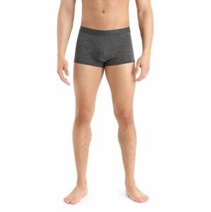 Pánské boxerky ICEBREAKER Mens Anatomica Cool-Lite™ Trunks, Monsoon Heather velikost: XXL