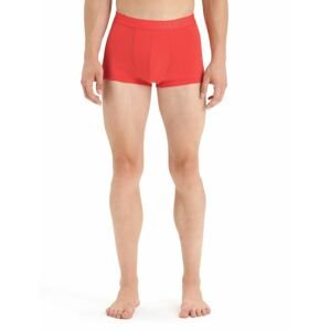 ICEBREAKER Mens Anatomica Cool-Lite Trunks, Vibrant Earth velikost: XXL