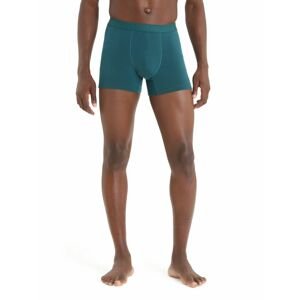 ICEBREAKER Mens Anatomica Cool-Lite™ Boxers, Green Glory velikost: L