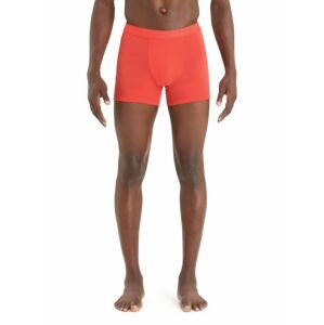 ICEBREAKER Mens Anatomica Cool-Lite Boxers, Vibrant Earth velikost: M