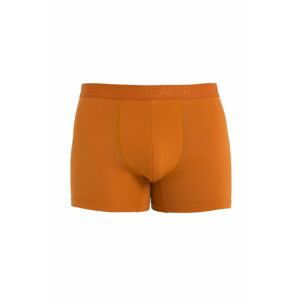 ICEBREAKER Mens Anatomica Cool-Lite Boxers, Earth velikost: L