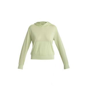 Dámská merino mikina s kapucí ICEBREAKER Wmns Merino Crush II LS Hoodie, Glazen velikost: M