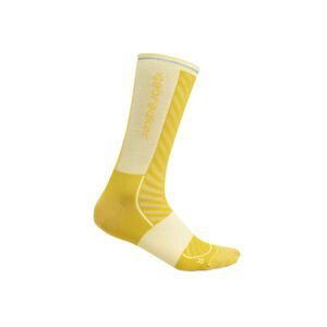 Dámské merino ponožky ICEBREAKER Wmns Merino Run+ Ultralight Crew, Lux/Lucid velikost: 35-37 (S)