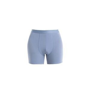 ICEBREAKER Mens Merino Core Boxers, Kyanite velikost: M