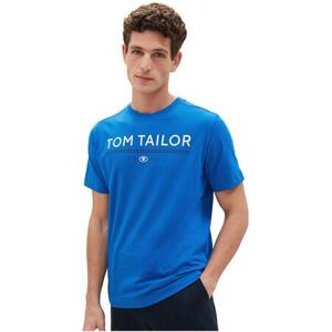 Tom Tailor Pánské triko Regular Fit 1040988.12393 XXL