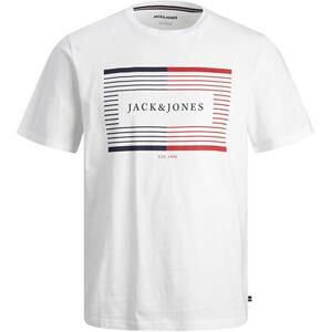 Jack&Jones Pánské triko JJCYRUS Standard Fit 12247810 White XL