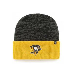 47' Brand Čepice NHL 47 Brand Two Tone Brain Freeze SR, Senior, Pittsburgh Penguins