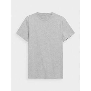 4F Pánské volnočasové tričko cold light grey melange L