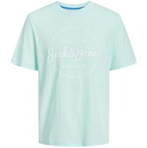 Jack&Jones Pánské triko JJFOREST Standard Fit 12247972 Soothing Sea L